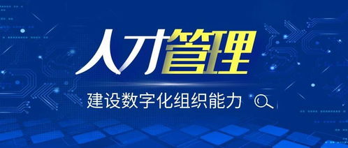 如何从人才管理角度,建设数字化组织能力